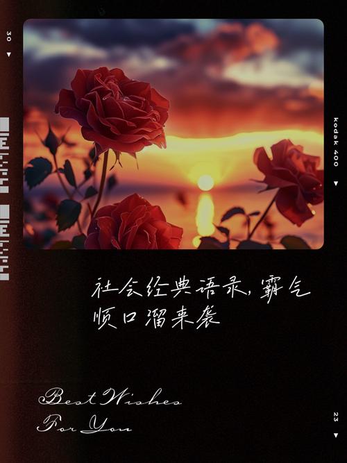 2022社会语录（句句经典）  第1张