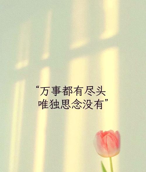思念那些逝去的信任  第1张
