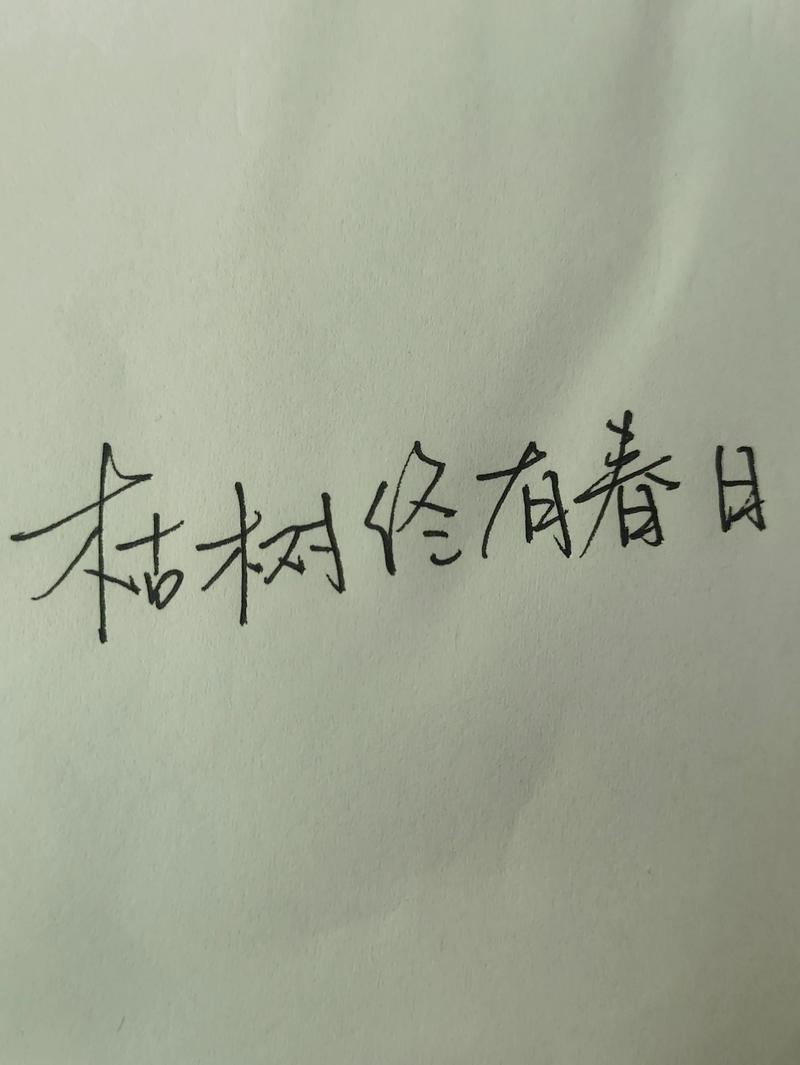 你留给我的都在那场梦里  第1张