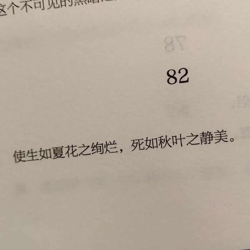 走如夏花，停如秋叶  第1张