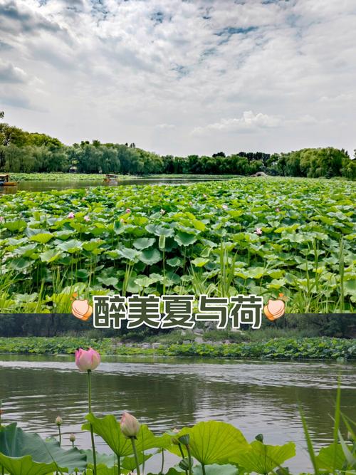 夏,只余留在记忆 第1张 夏,只余留在记忆 第1张
