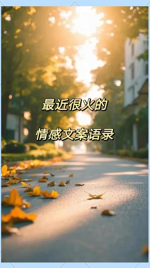 情感语录,情感语录,人生路上的温暖与感悟 第1张 情感语录,情感语录,人生路上的温暖与感悟 第1张