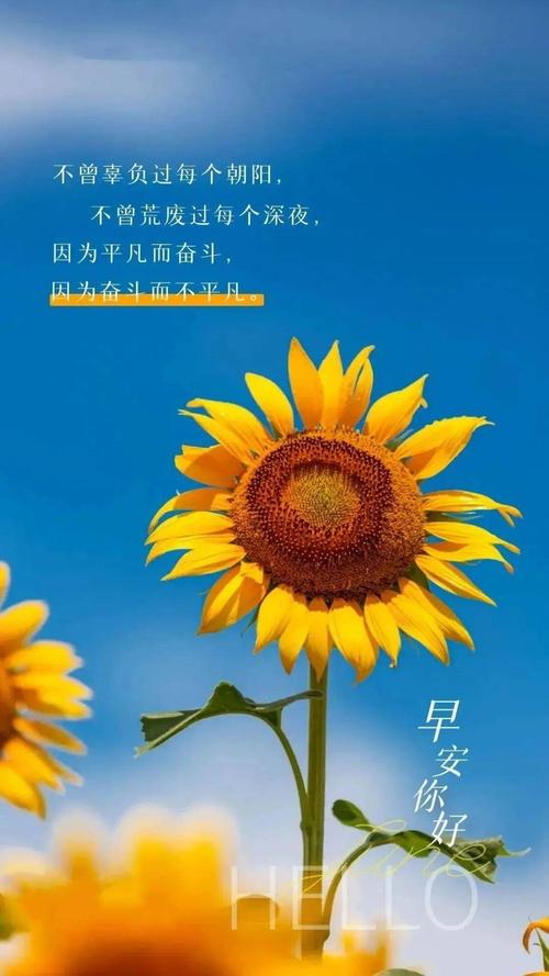 适合发朋友圈正能量短句,正能量短句,点亮朋友圈的每一刻! 第1张 适合发朋友圈正能量短句,正能量短句,点亮朋友圈的每一刻! 第1张