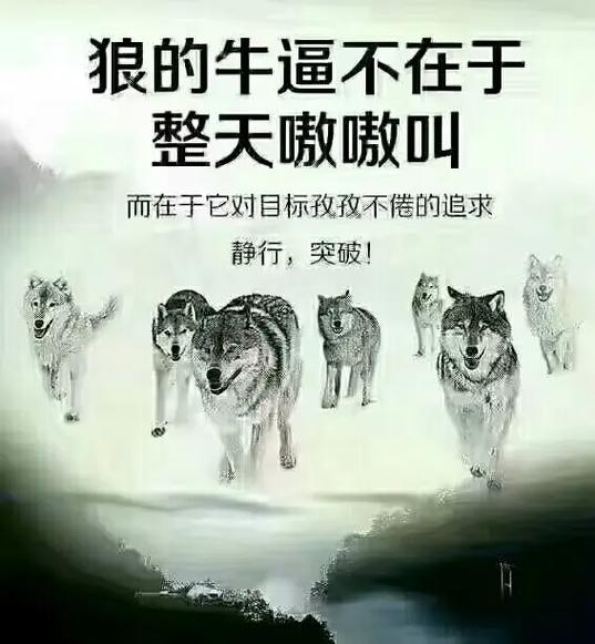狼的50格言,你会受用一生 第1张 狼的50格言,你会受用一生 第1张