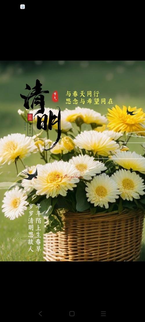 清明哀思  第1张