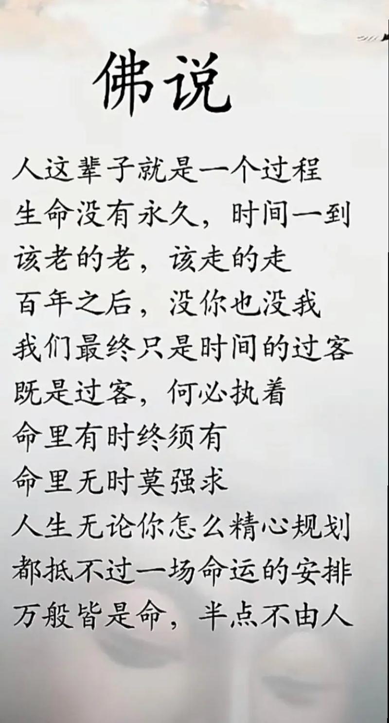 经典人生短句,经典人生短句,珍惜当下,活出精彩。 第1张 经典人生短句,经典人生短句,珍惜当下,活出精彩。 第1张