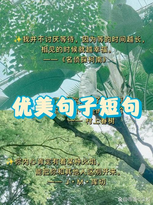 100句顶级绝美短句,顶级绝美短句精选100句 第1张 100句顶级绝美短句,顶级绝美短句精选100句 第1张