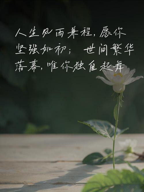 人生最佳短句,人生的最佳短句,珍惜当下,笑对未来。 第1张 人生最佳短句,人生的最佳短句,珍惜当下,笑对未来。 第1张