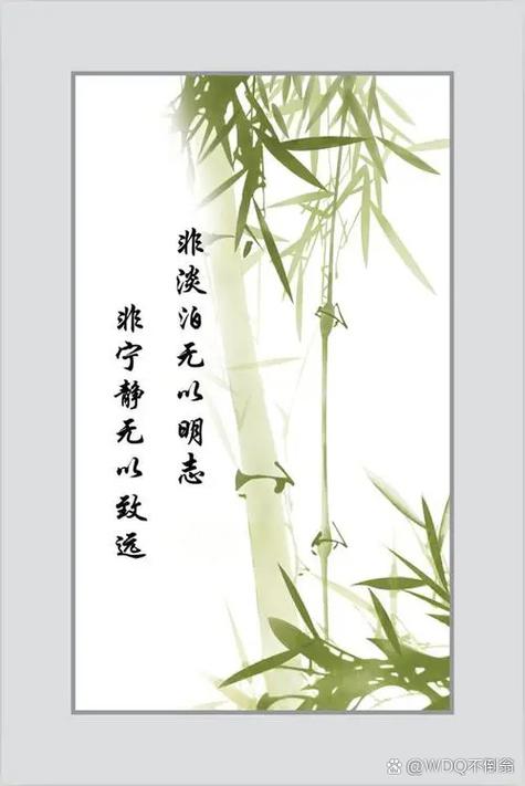 淡泊  第1张