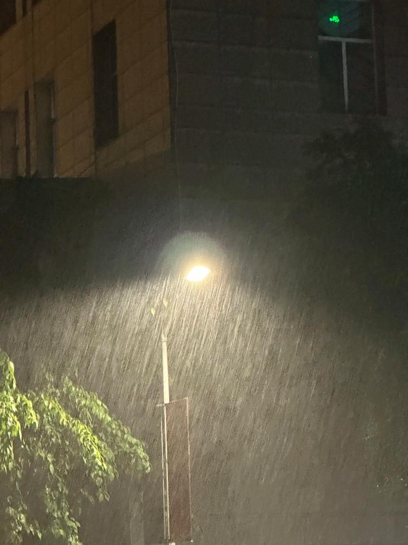 细雨中的徘徊  第1张