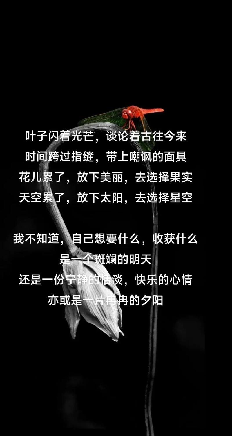 人或许还不如一片落叶 第1张 人或许还不如一片落叶 第1张