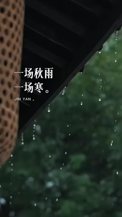 一场秋雨  第1张