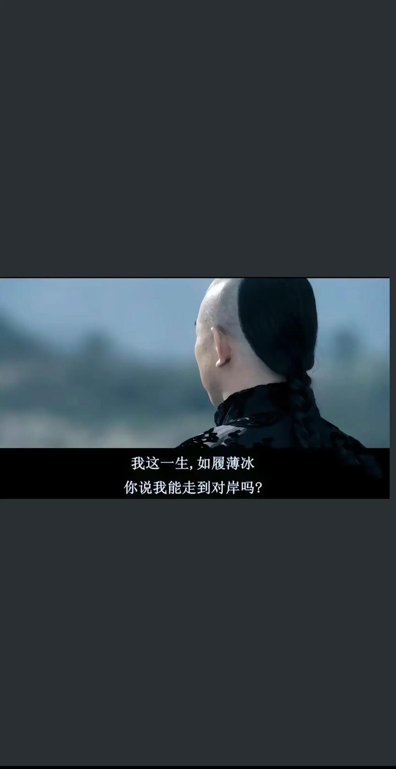 这一生，依旧要精彩  第1张