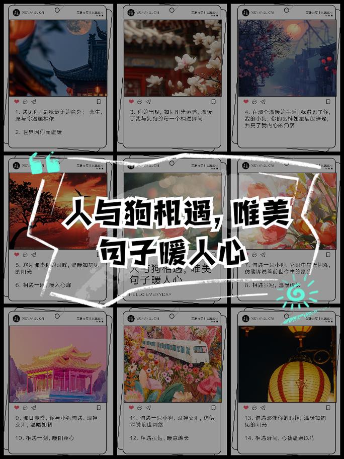 再相遇,请许我温暖相依 第1张 再相遇,请许我温暖相依 第1张