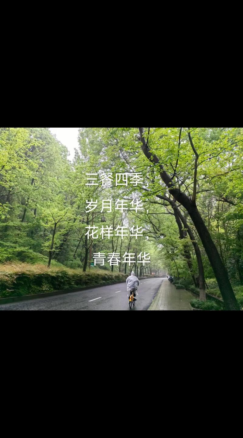 花样年华(4) 第1张 花样年华(4) 第1张