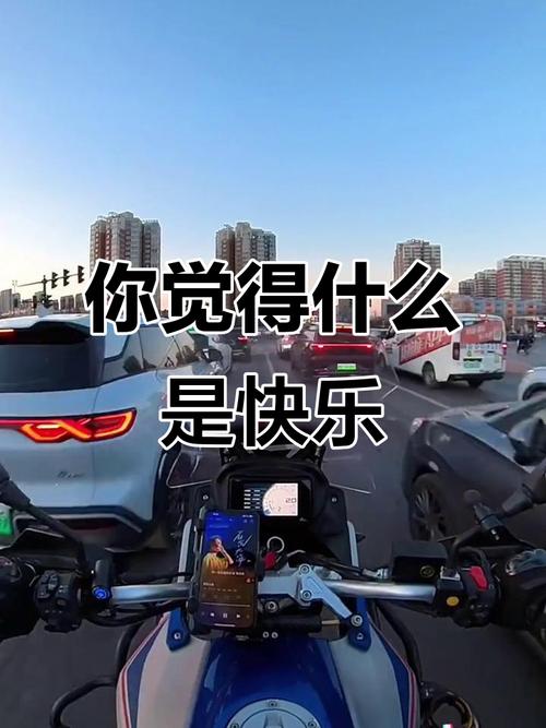什么都快乐  第1张
