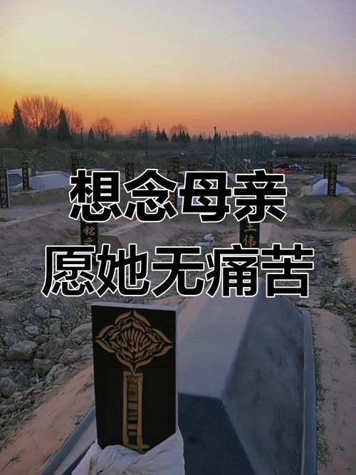 那年中秋,母亲落泪 第1张 那年中秋,母亲落泪 第1张