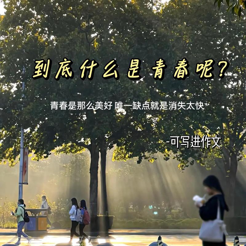 谁在青春的时候懂得青春 第1张 谁在青春的时候懂得青春 第1张