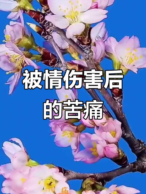 恋伤  第1张
