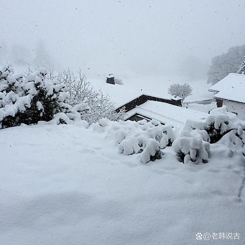 一炉雪 第1张 一炉雪 第1张
