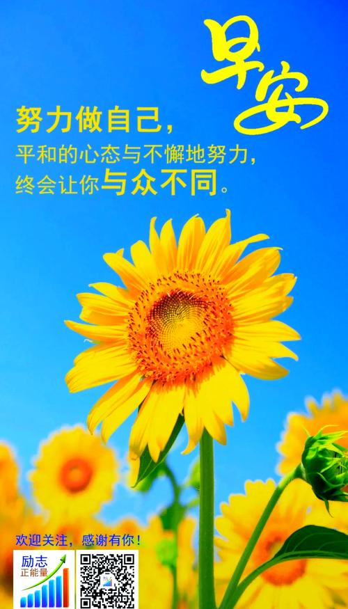 阳光心态正能量的句子，阳光心态，传递正能量句子。  第1张
