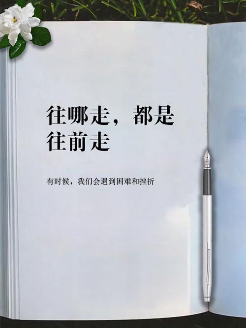 人生是一场行走 第1张 人生是一场行走 第1张