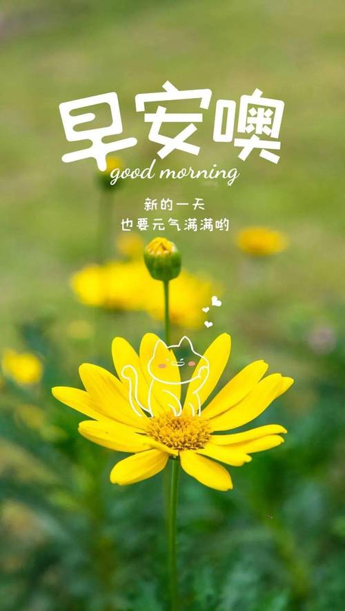 每日正能量 每日一句,每日正能量,一句鼓舞心志的箴言 第1张 每日正能量 每日一句,每日正能量,一句鼓舞心志的箴言 第1张