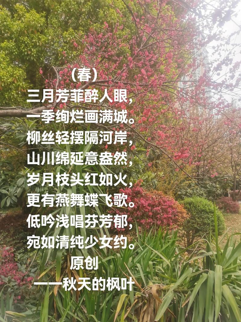 “春来依旧催人老”  第1张