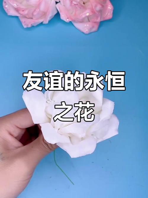 永恒的情谊  第1张