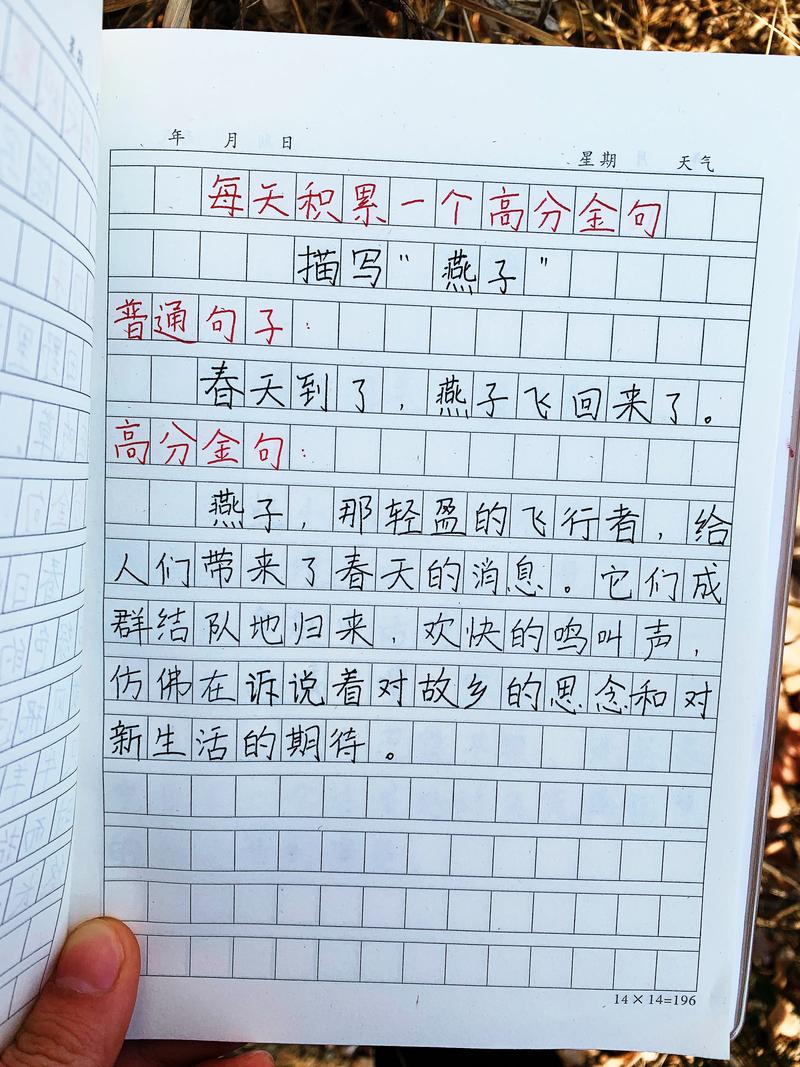 作文中惊艳的神仙句子,惊艳之作,神仙句子之美妙之处 第1张 作文中惊艳的神仙句子,惊艳之作,神仙句子之美妙之处 第1张