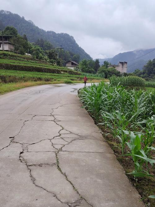 家乡那条小路 第1张 家乡那条小路 第1张