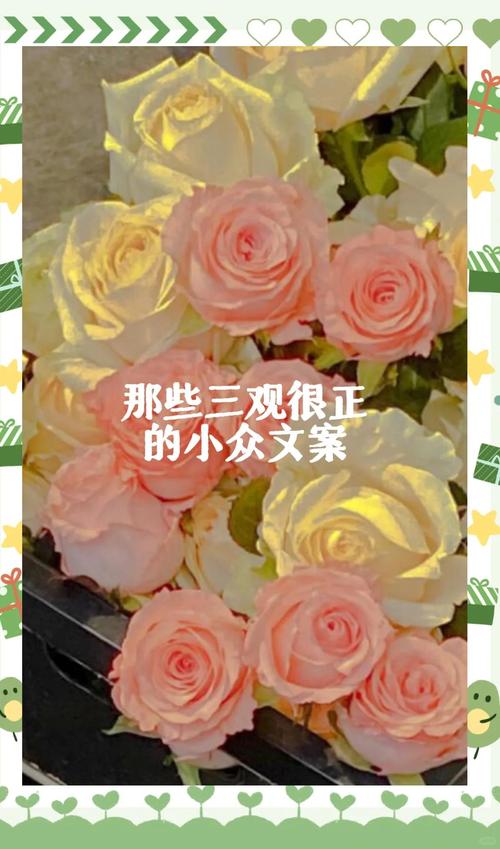 三观超正超干净的文案，三观纯净，心灵清澈的阳光文案  第1张