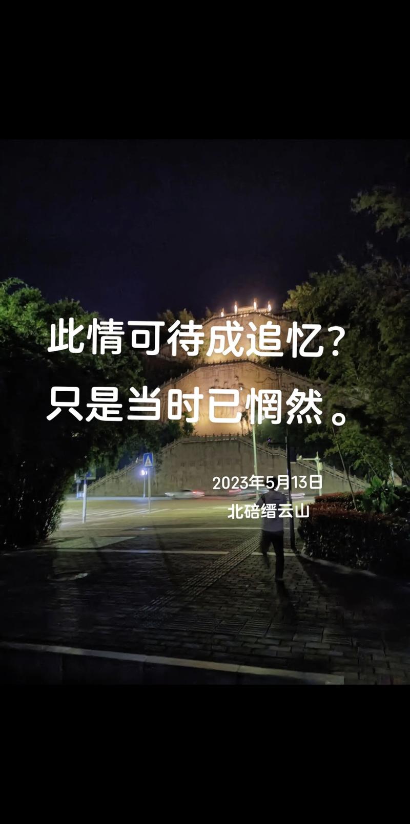 此情可待成追忆 第1张 此情可待成追忆 第1张
