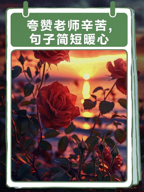 感恩老师的小短句,感恩老师,启迪心灵的小短句。 第1张 感恩老师的小短句,感恩老师,启迪心灵的小短句。 第1张