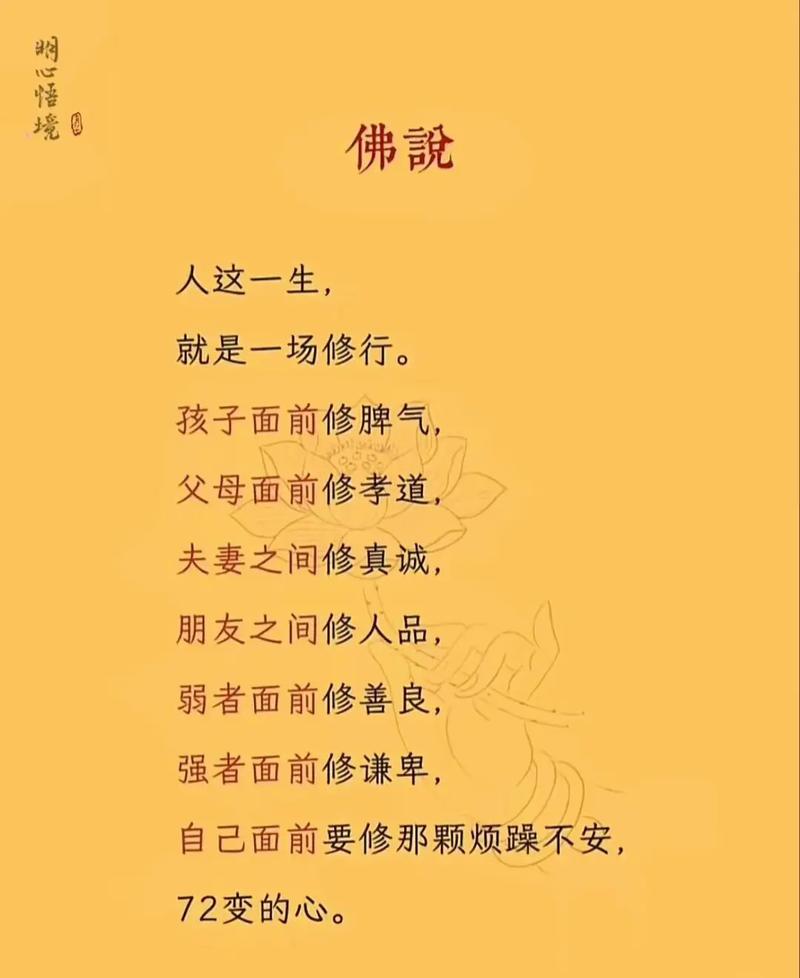 修心的人生 第1张 修心的人生 第1张