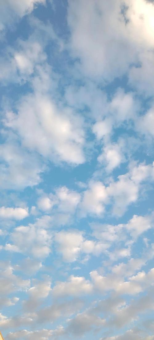 寻找心灵的天空  第1张
