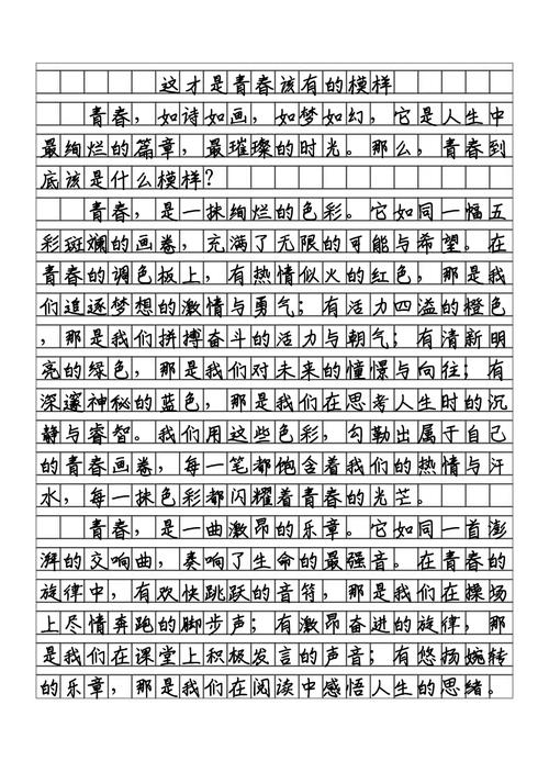 优秀作文：《奔跑的青春最美丽》合肥市第四十八中学八九班李曜岑  第1张