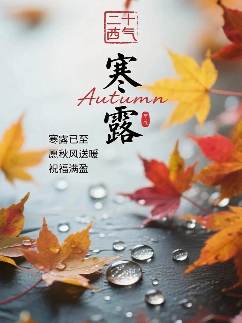 寒露不露寒 第1张 寒露不露寒 第1张