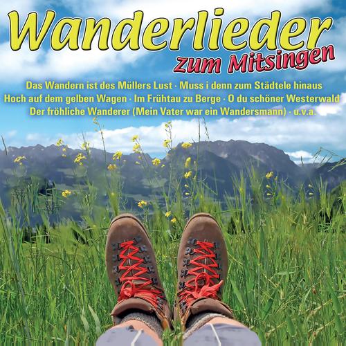 生活场景德语表达:Mein frescher Mann 第1张 生活场景德语表达:Mein frescher Mann 第1张