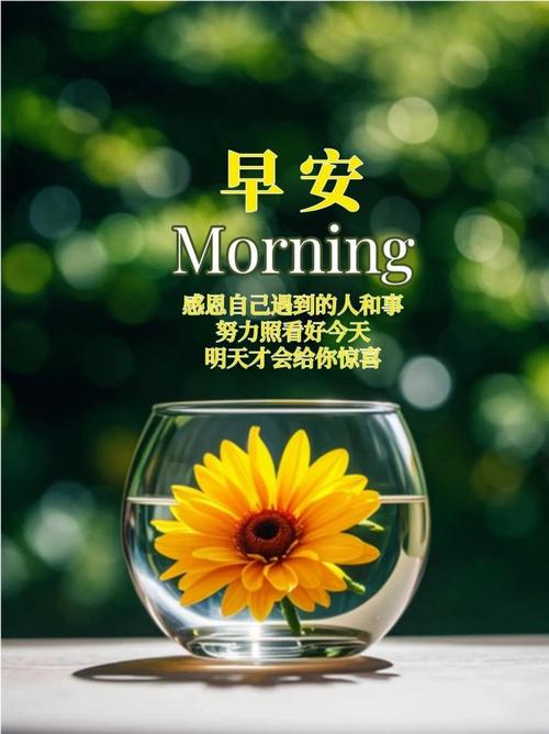 句句暖人心，暖心之语，句句触动心灵  第1张
