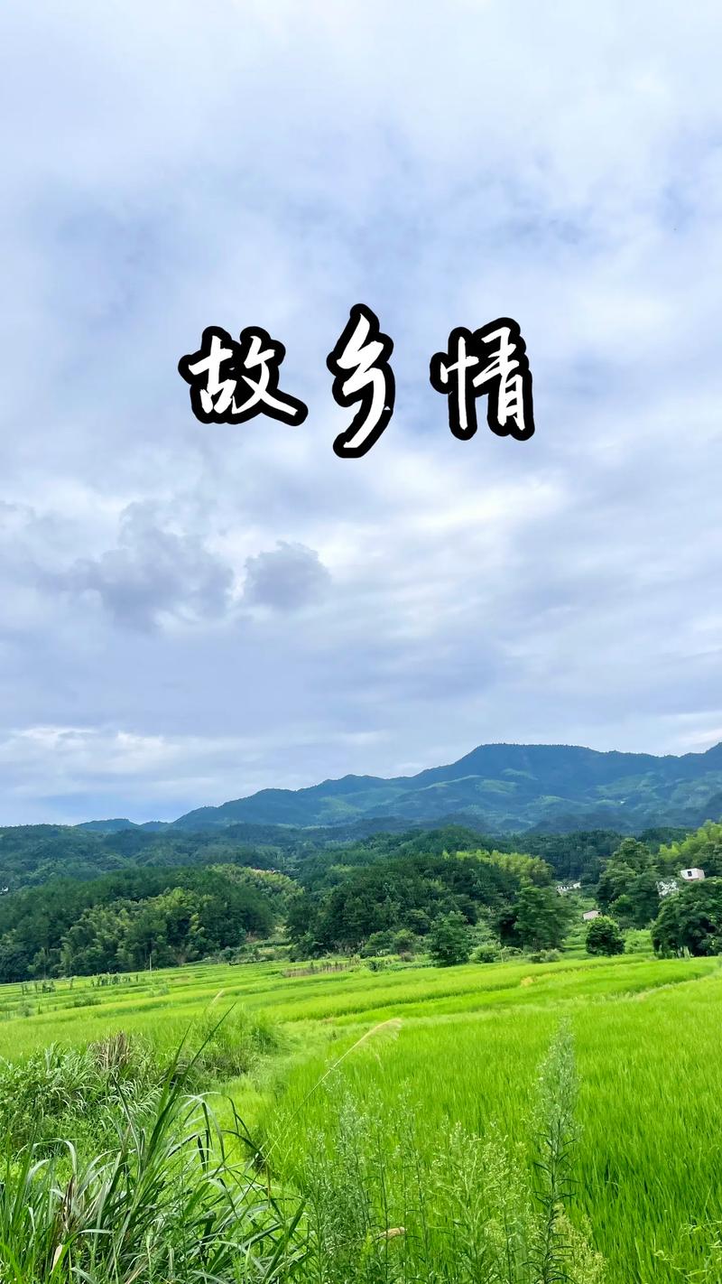故乡情 第1张 故乡情 第1张