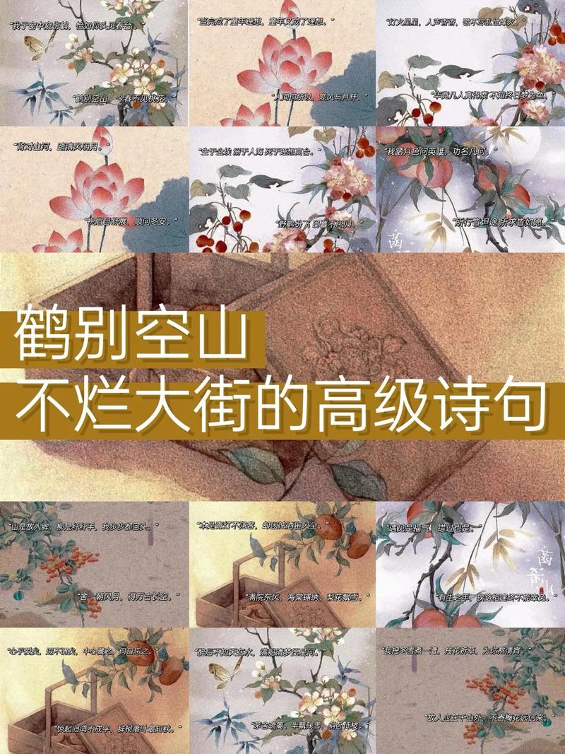 孤山梅鹤也有情  第1张