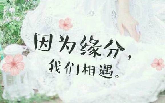 聚散是缘  第1张