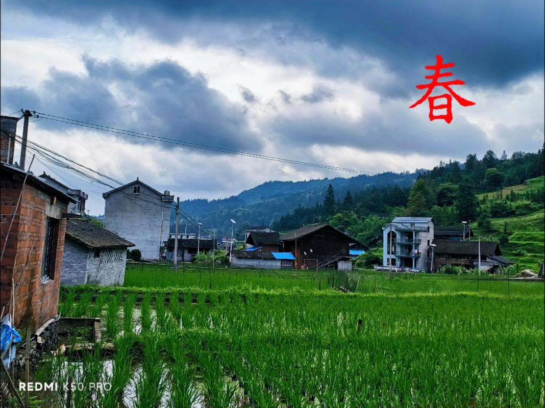 故乡四季  第1张