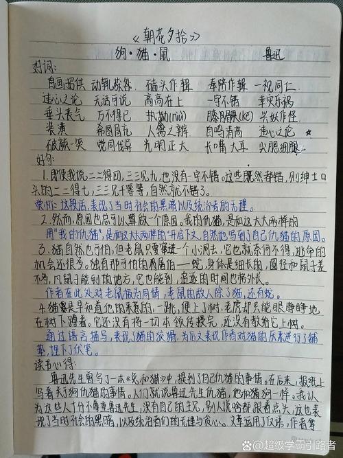 读书笔记摘抄大全20篇，读书笔记摘抄精选，二十篇读书感悟集锦  第1张