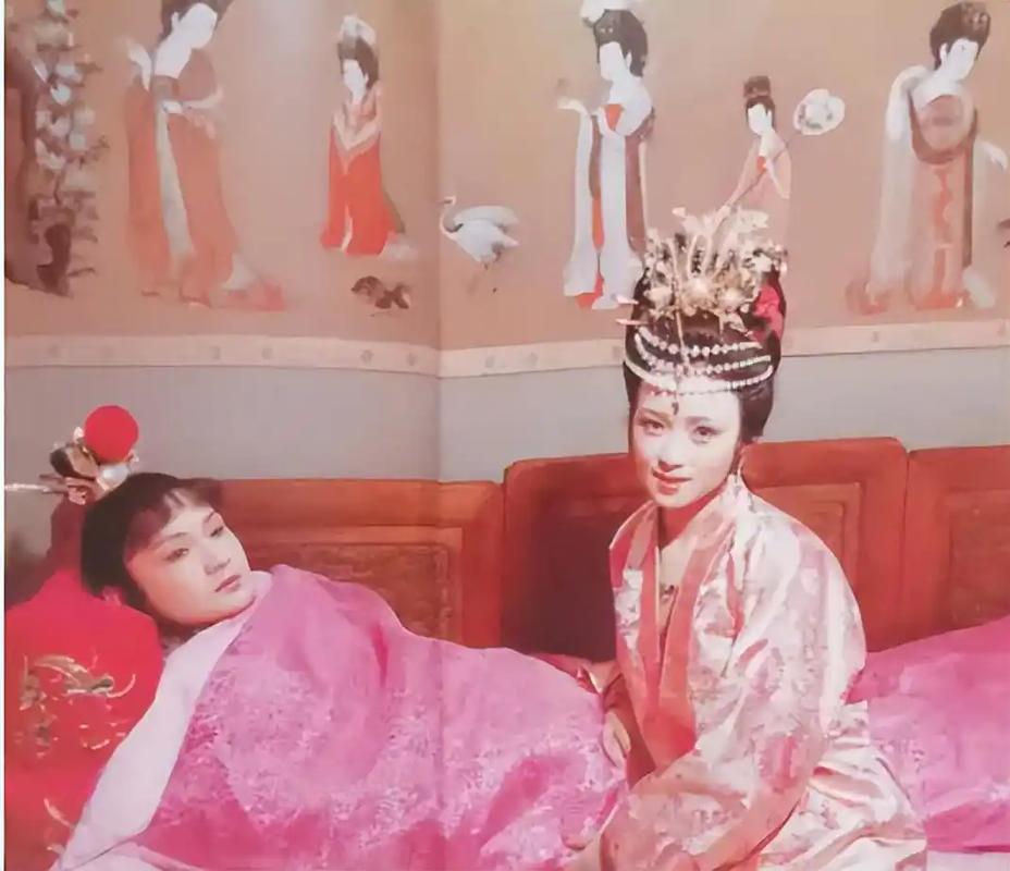 我的红楼情  第1张