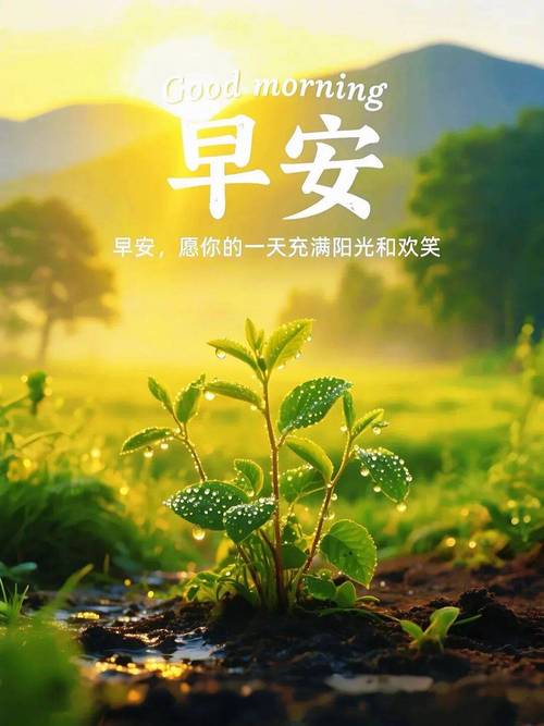 正能量励志的句子经典语句,正能量励志经典语句,激发内心动力,勇往直前! 第1张 正能量励志的句子经典语句,正能量励志经典语句,激发内心动力,勇往直前! 第1张