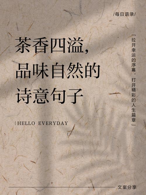 茶语心情 第1张 茶语心情 第1张