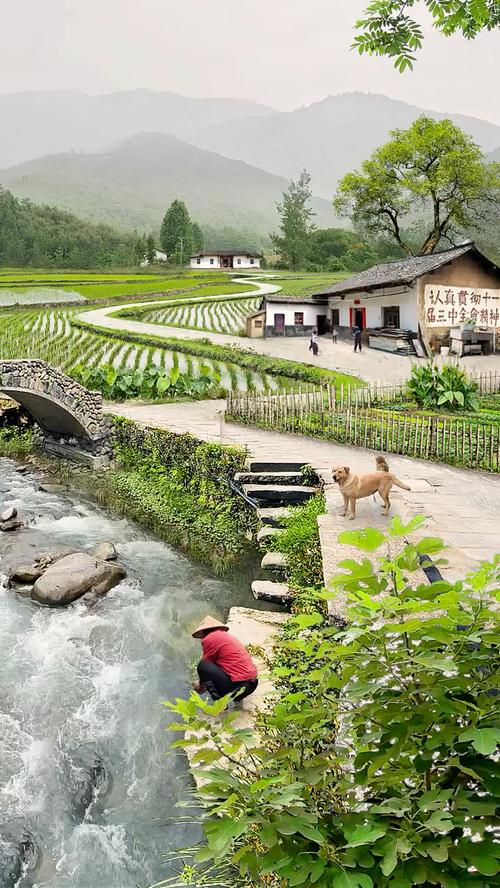 宁静的乡村夏日 第1张 宁静的乡村夏日 第1张