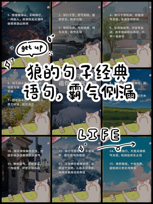 狼的50格言  第1张